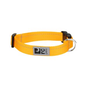RC Pets Dog Primary Clip Collar Marigold