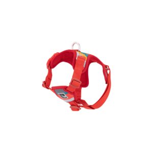 RC Pets Forte Step-In Harness