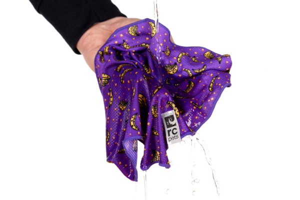 RC Pets Zephyr Cooling Bandana - Image 6