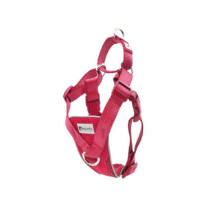 RC Pets Tempo No Pull Harness Heather Azalea