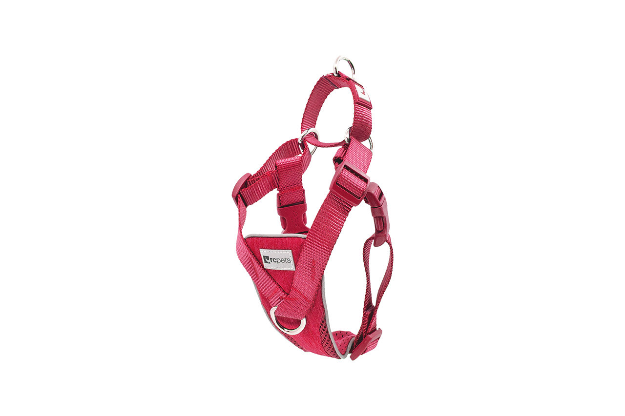 RC Pets Tempo No Pull Harness Heather Azalea