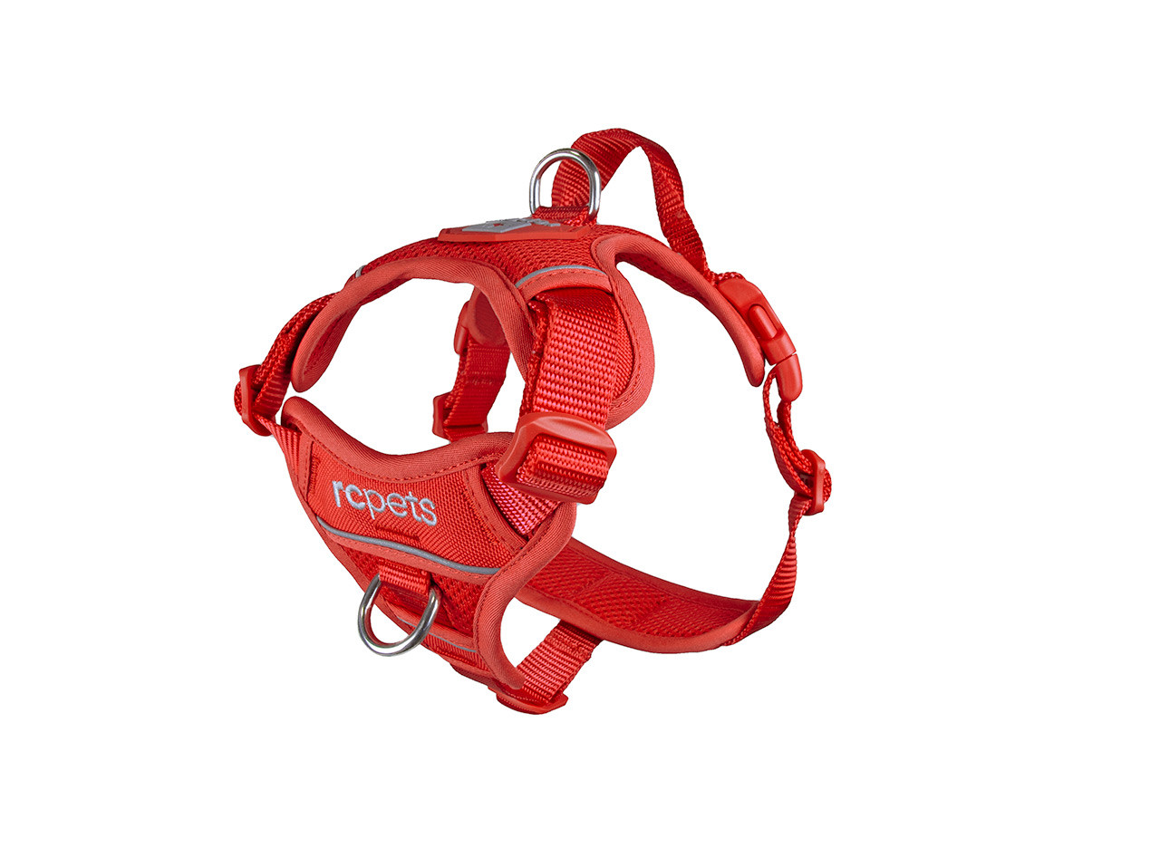 RC Pets Momentum Control Harness Goji Berry
