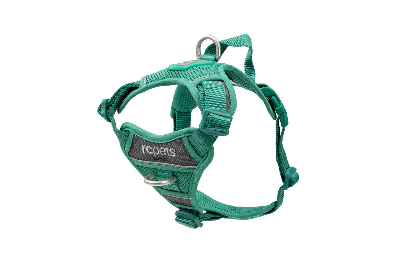 RC Pets Momentum Control Harness Parakeet