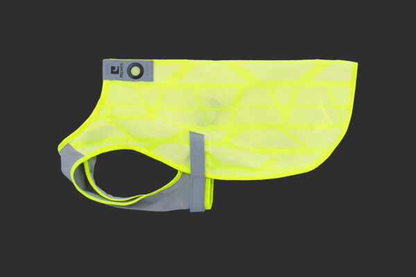 RC Pets Luna Hi-Vis Vest - Image 2
