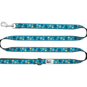 RC Pets Dog Leash Fresh Tracks Teal