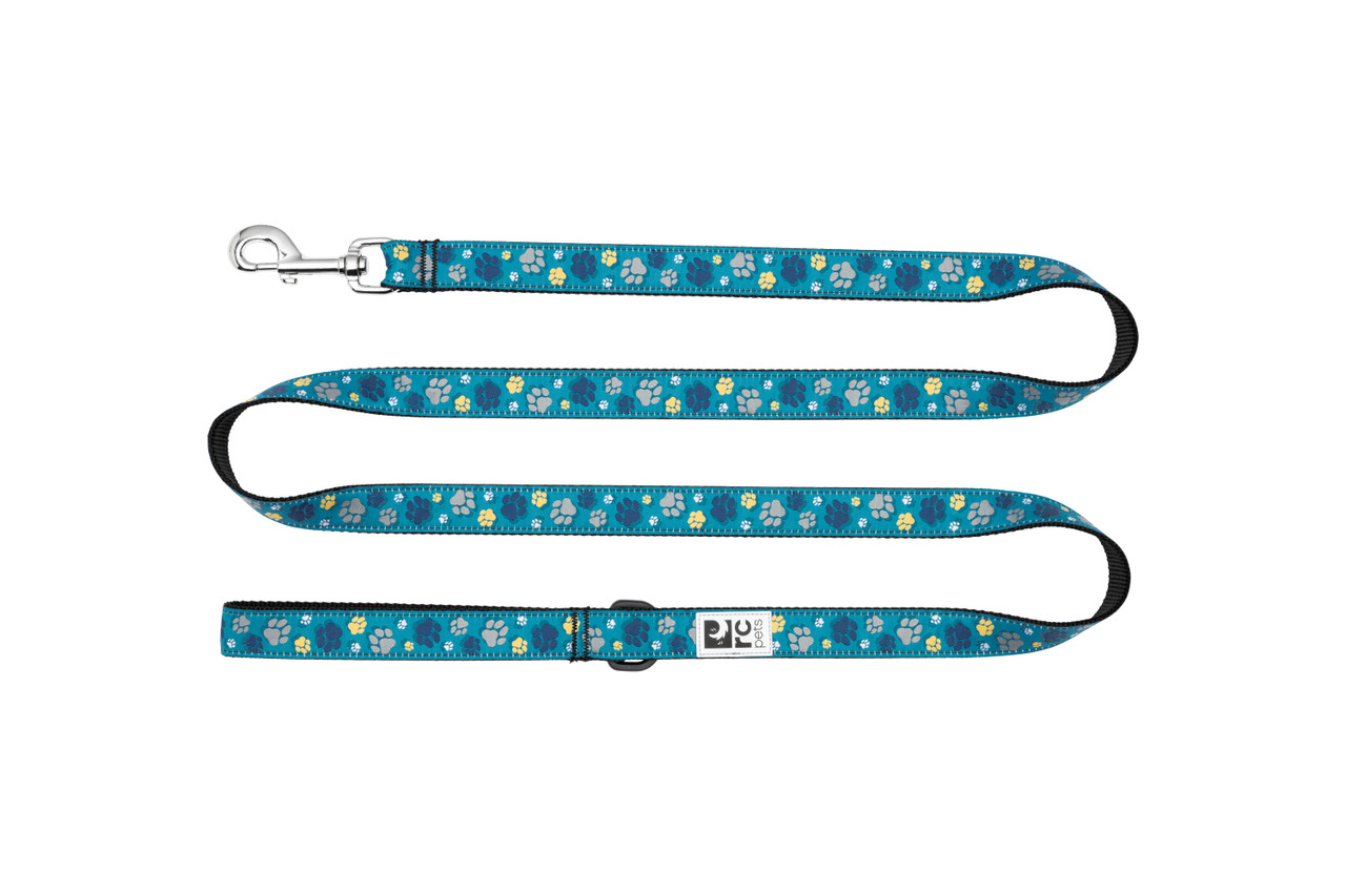 RC Pets Dog Leash Fresh Tracks Teal