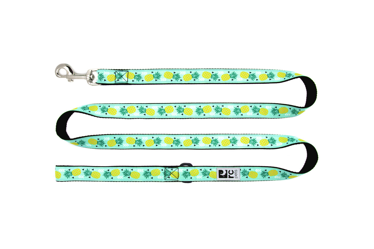 RC Pets Dog Leash Pineapple Parade
