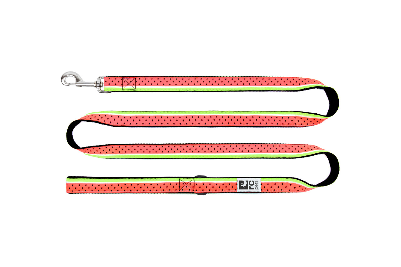 RC Pets Dog Leash Watermelon