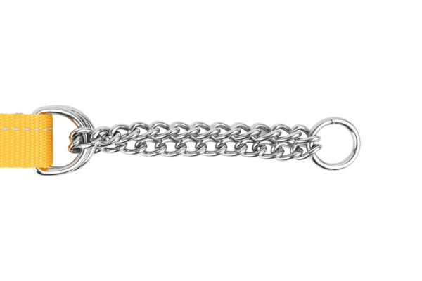 RC Pets Primary Training Clip Collar - Image 2