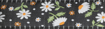 Daisies