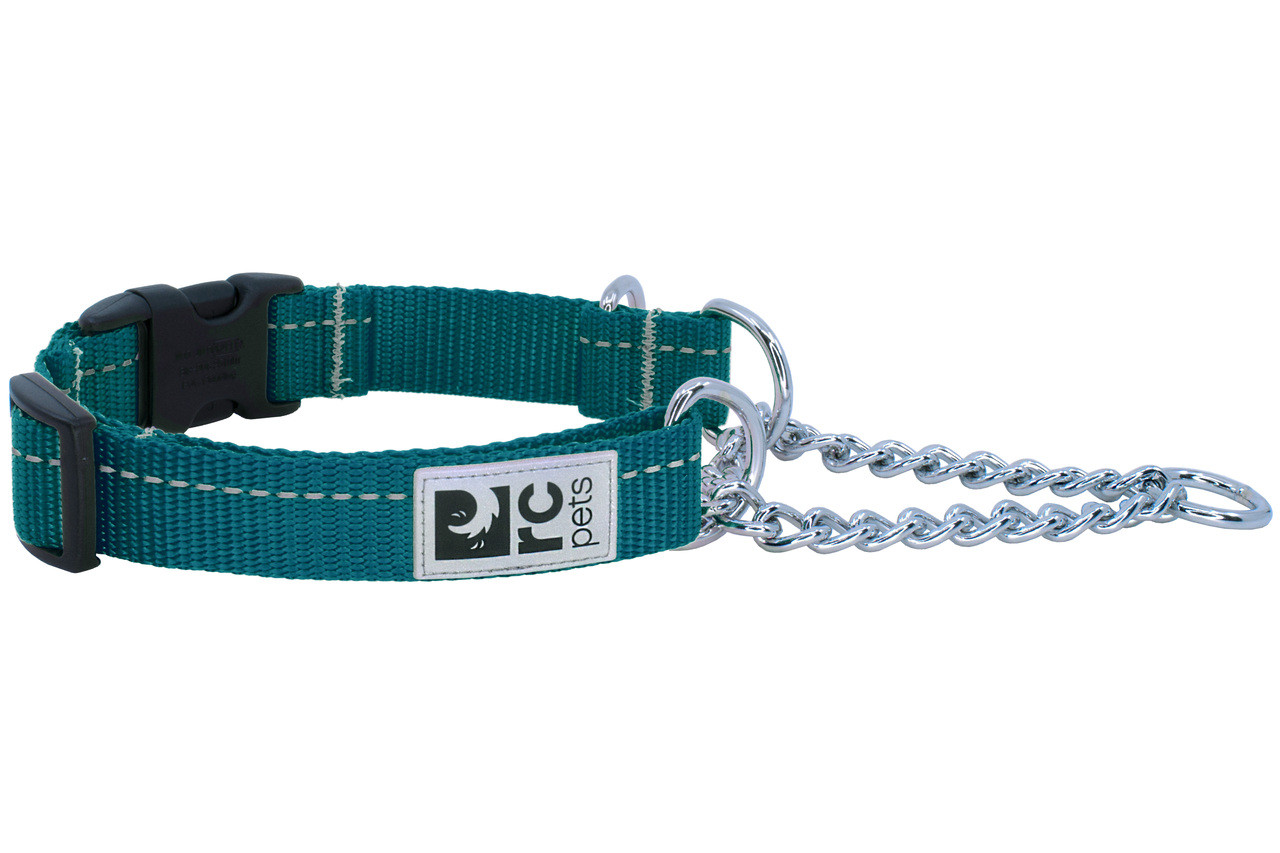 RC Pets Dog Primary Training Collar Dark Teal