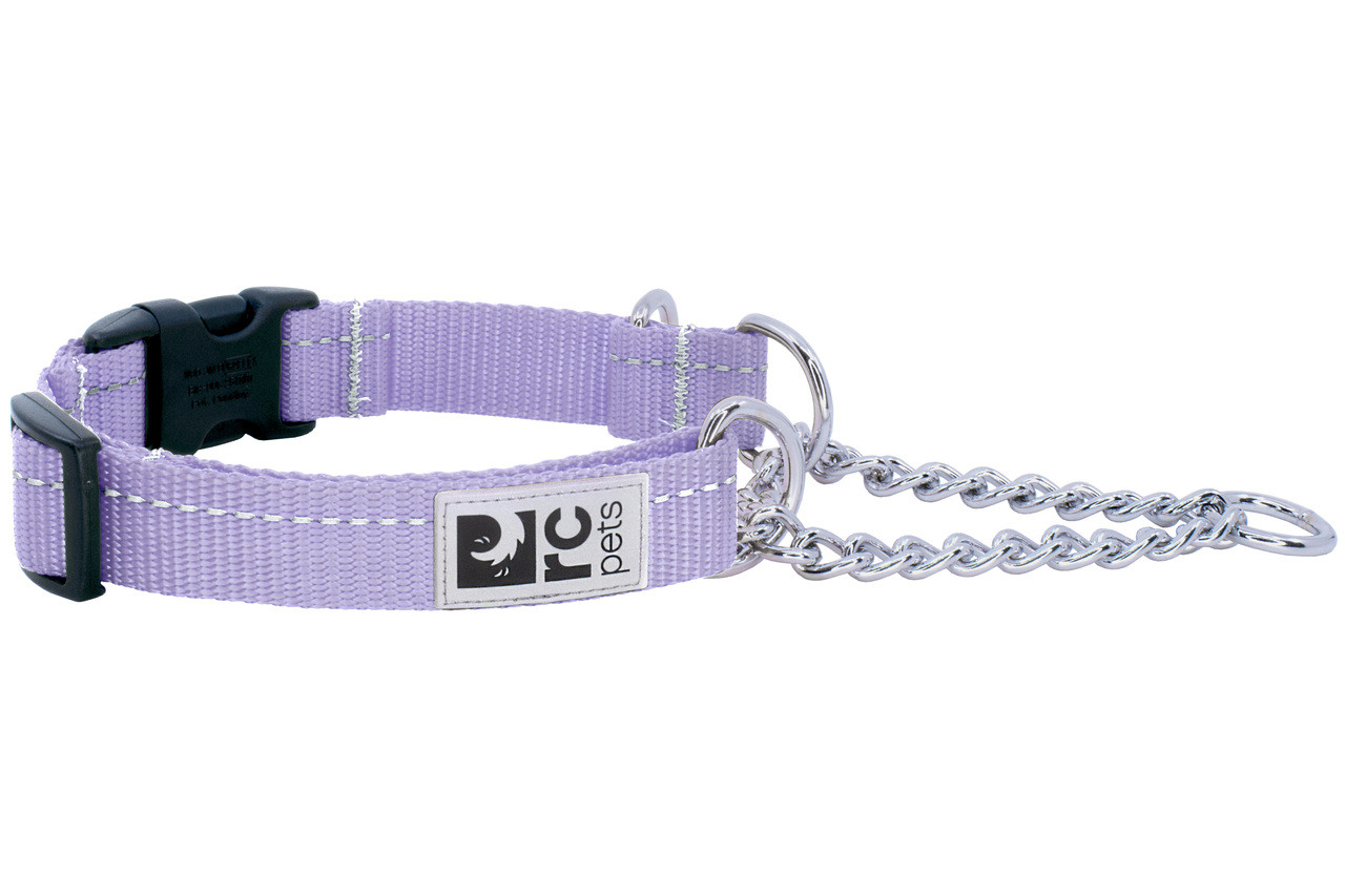 RC Pets Dog Primary Training Collar Lilac