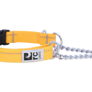 RC Pets Dog Primary Training Collar Marigold