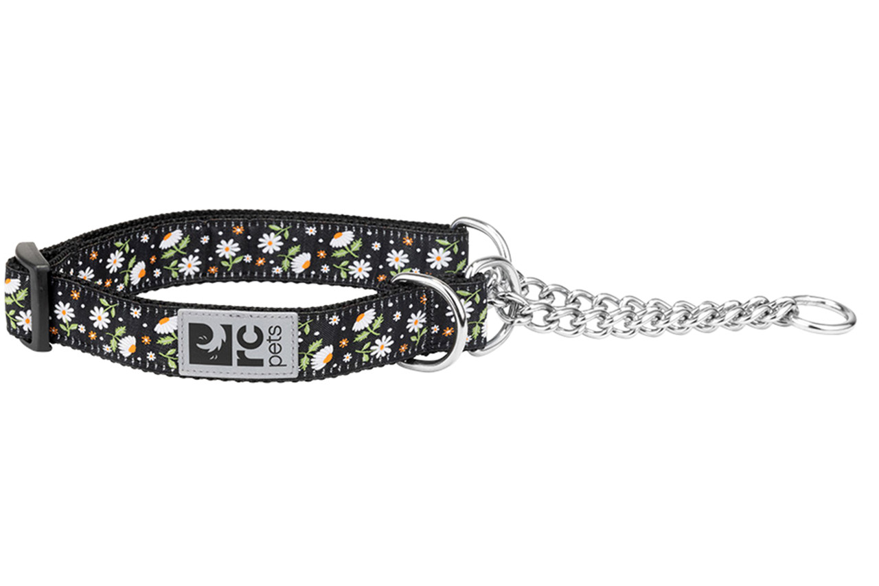 RC Pets Dog Training Collar Daisies