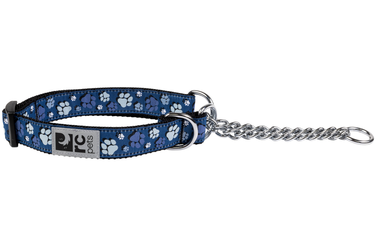 RC Pets Dog Training Collar Fresh Tracks Blue