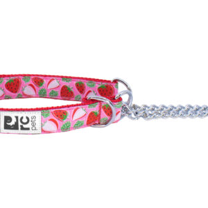 RC Pets Dog Training Collar Strawberries