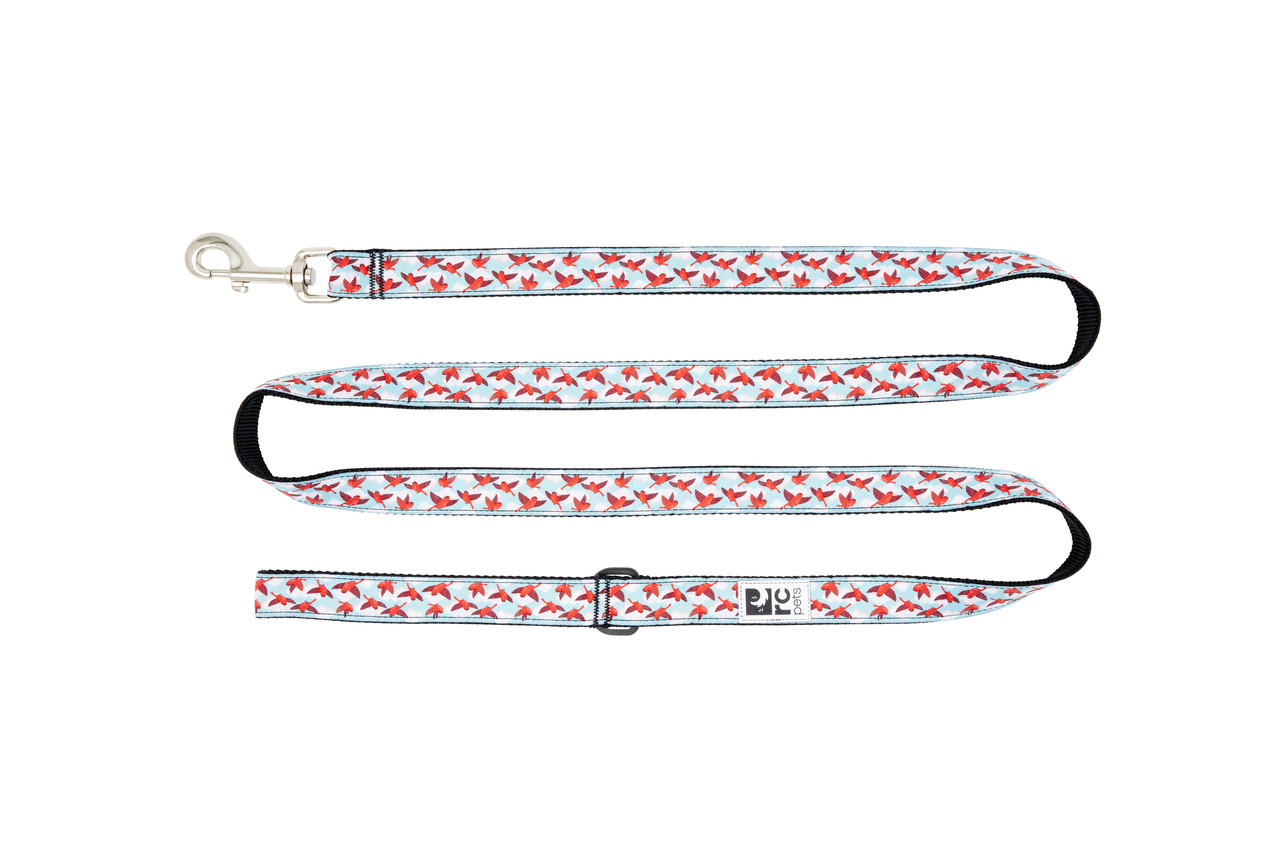 RC Pets Dog Leash In the Clouds
