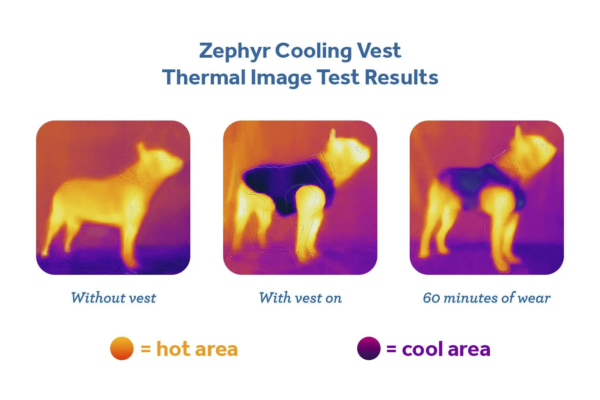 RC Pets Zephyr Cooling Vest - Image 4