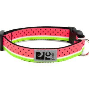 RC Pets Dog Clip Collar Watermelon