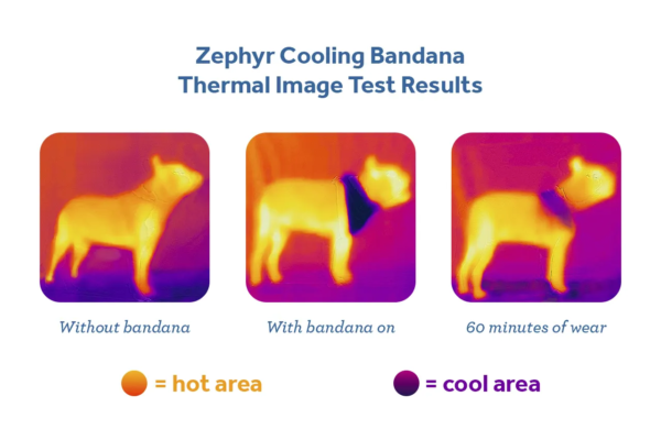 RC Pets Zephyr Cooling Bandana - Image 2