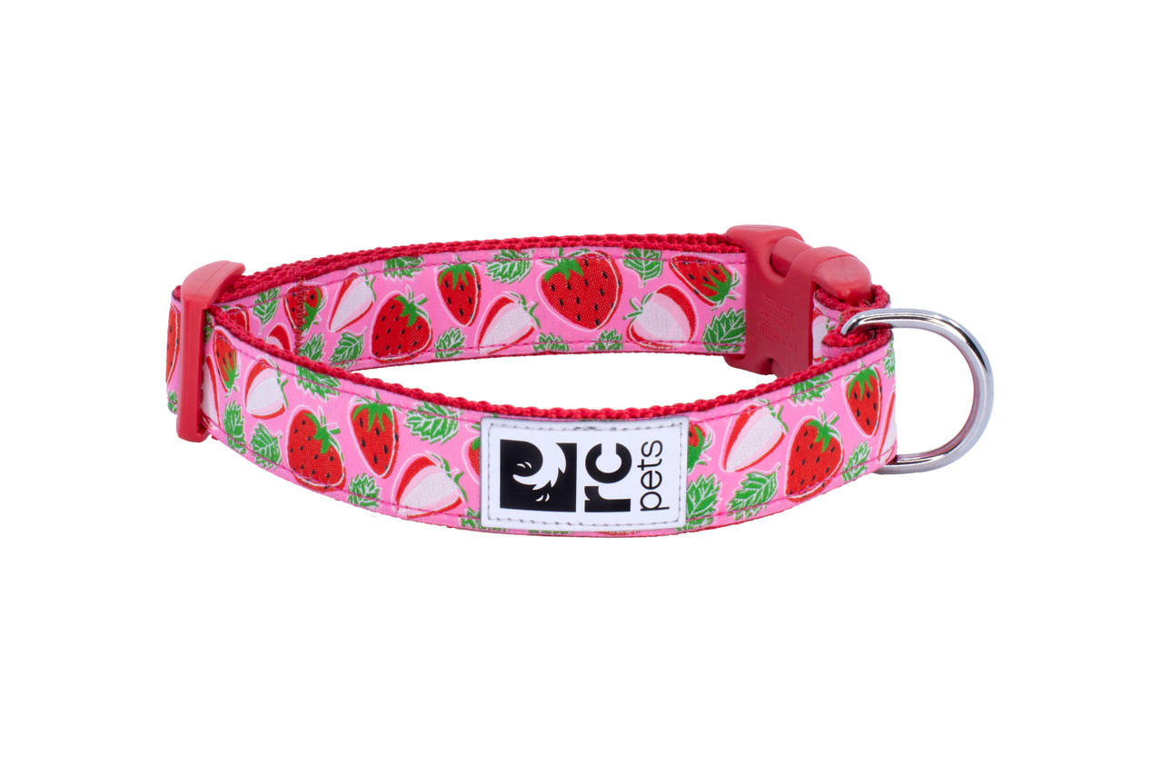 RC Pets Dog Clip Collar Strawberries