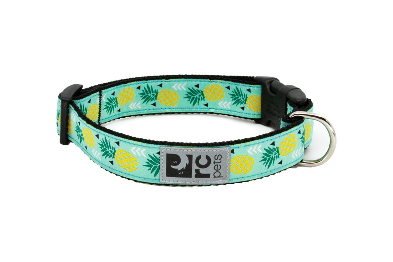 RC Pets Dog Clip Collar Pinneapple Parade