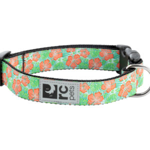 RC Pets Dog Clip Collar Mahalo