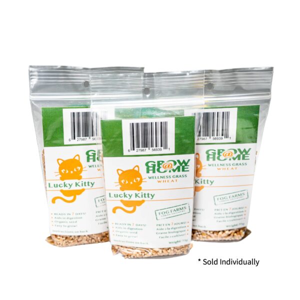 Lucky Kitty Wheat Cat Grass Seeds
