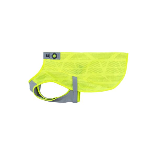 RC Pets Luna Hi-Vis Vest