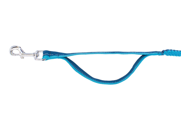 RC Pets Bungee Active Leash - Image 4