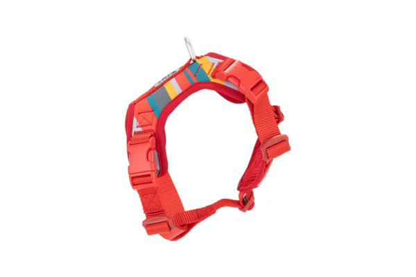 RC Pets Forte Step-In Harness - Image 5