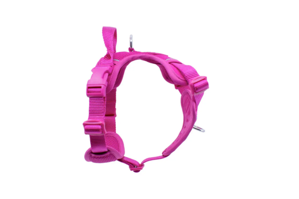 RC Pets Momentum Control Harness - Image 3