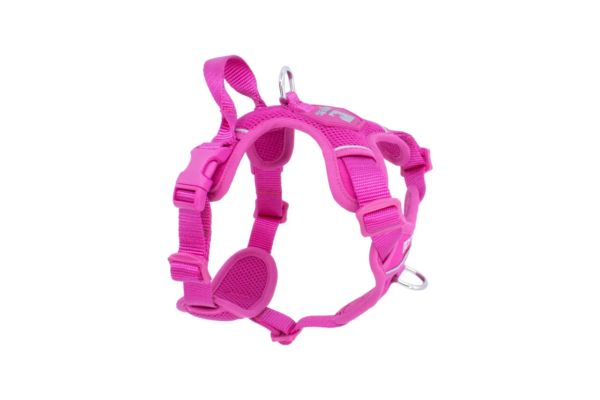 RC Pets Momentum Control Harness - Image 4