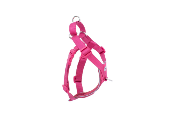 RC Pets Tempo No-Pull Harness - Image 2