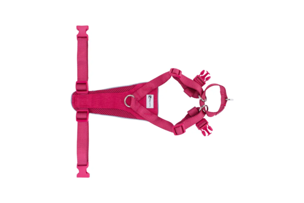 RC Pets Tempo No-Pull Harness - Image 4