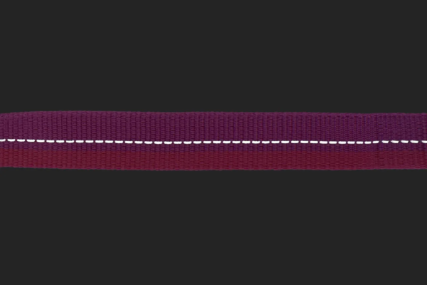 RC Pets Bungee Traffic Leash - Image 3