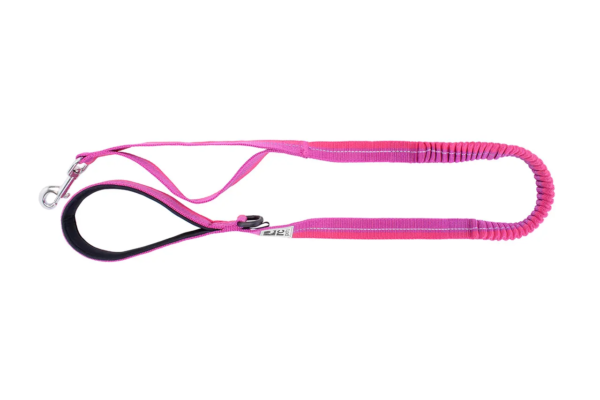 RC Pets Bungee Traffic Leash - Image 5