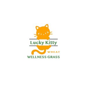 Lucky Kitty