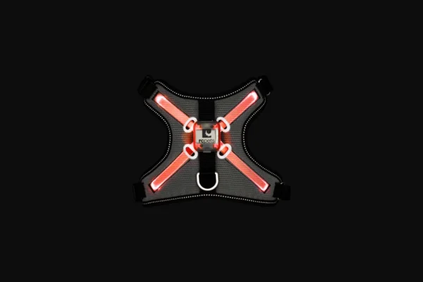 RC Pets Nova LED Light Harness - Image 7