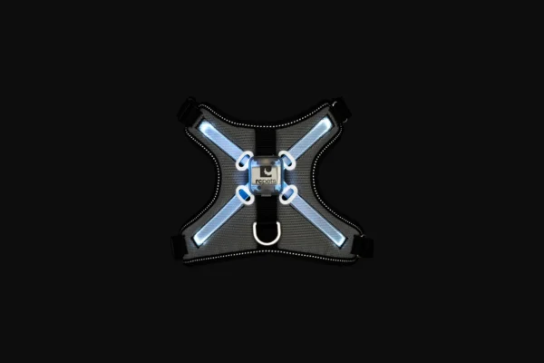 RC Pets Nova LED Light Harness - Image 6