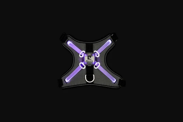 RC Pets Nova LED Light Harness - Image 5
