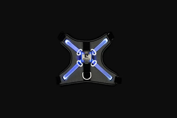 RC Pets Nova LED Light Harness - Image 4