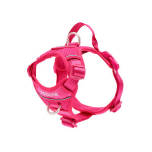 RC Pets Momentum Control Harness Azalea