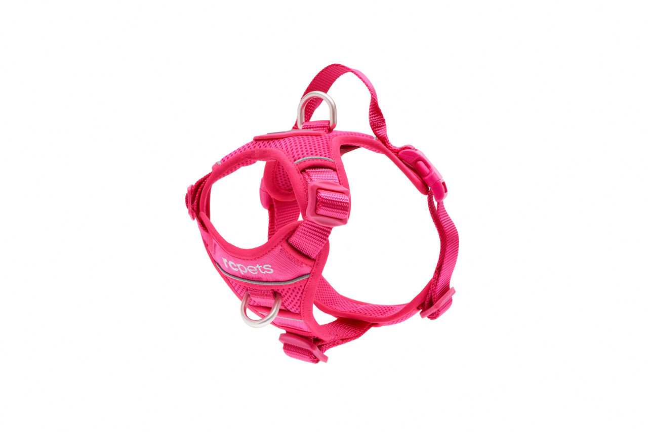 RC Pets Momentum Control Harness Azalea