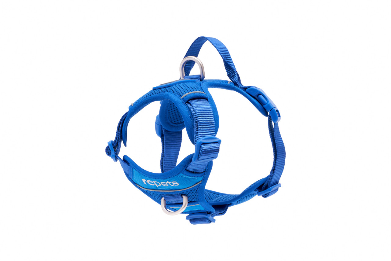 RC Pets Momentum Control Harness Sapphire