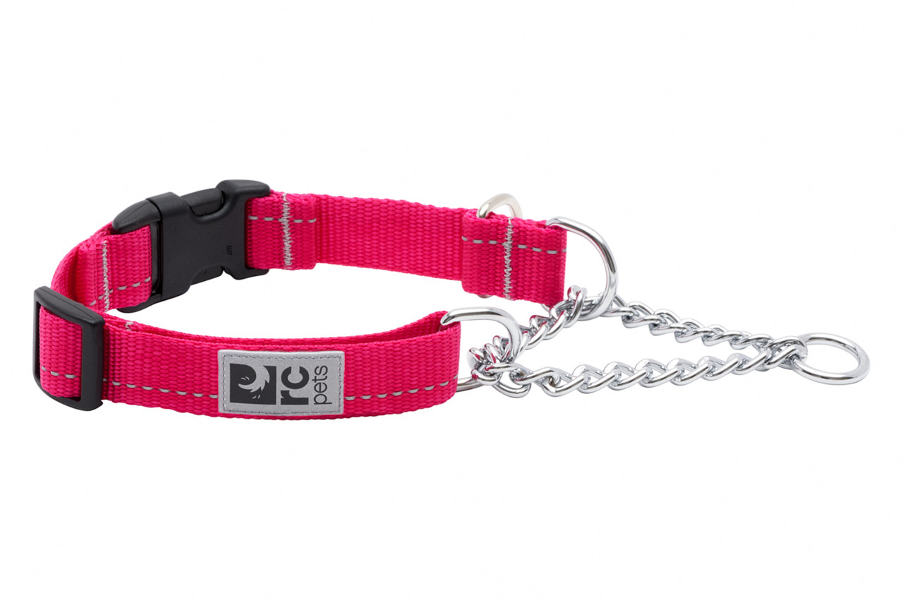 RC Pets Dog Primary Training Collar Azalea