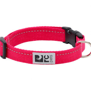 RC Pets Dog Primary Clip Collar Azalea