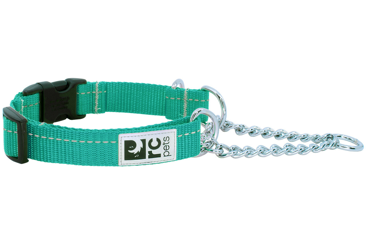 RC Pets Dog Primary Training Collar Parakeet