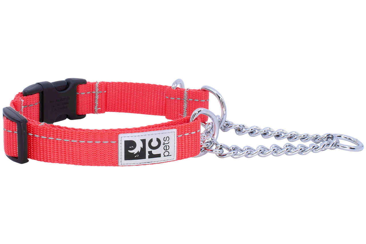 RC Pets Dog Primary Training Collar Red