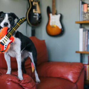 P.L.A.Y. 90’s Classic – Electric Guitar